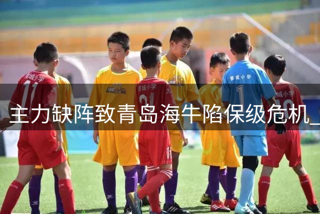 主力缺阵致青岛海牛陷保级危机 赵鹏直言球队体系面临崩盘