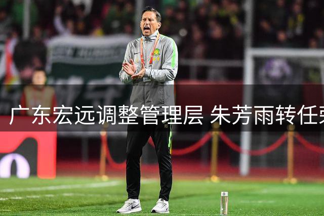 广东宏远调整管理层 朱芳雨转任荣誉顾问