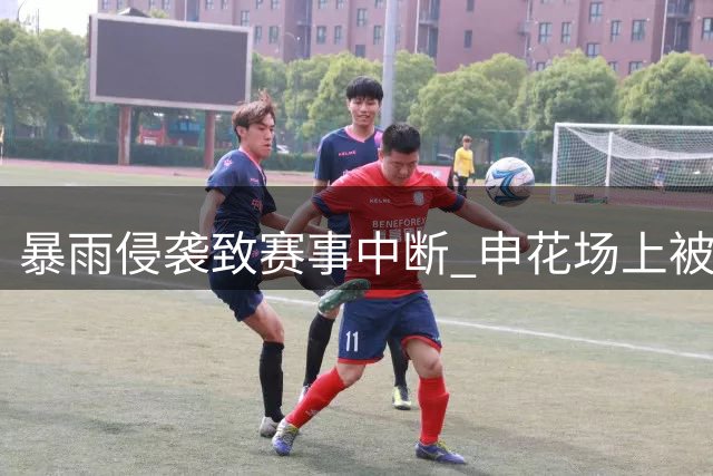 暴雨侵袭致赛事中断 申花场上被动输球遭球迷质疑